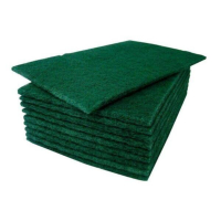 >Scouring pad 9 x 6" | green | CleanWorks | 10-pack IE000931
