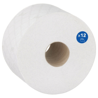 >Toilet rolls (2-ply) | Scott Control Centrefeed | 12-pack IE000902