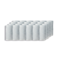 >Toilet rolls (2-ply) | WX43541 | 48-pack IE000554