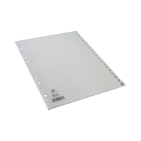 | Plastic tabs 1-20 (20 white tabs) | A4, 11-hole | Premier IE000657