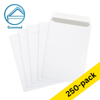 123ink C4 white gummed document envelope, 229mm x 324mm (250-pack) 300941