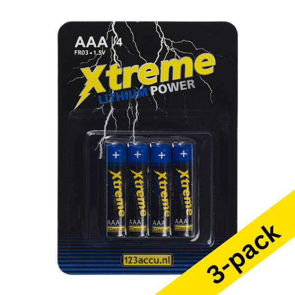 123ink Xtreme Power AAA FR03 batteries (3 x 4-pack) ADR00307 - 1