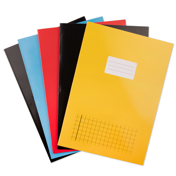 123ink assorted A4 checkered notebooks, 40 sheets (5-pack) 400094581C 400094586 400107506C 400117317C 300636 - 1