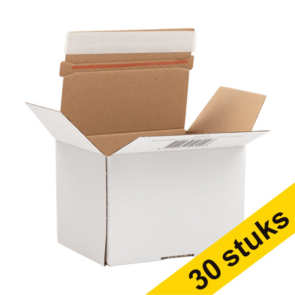 123ink autolock shipping box, 160mm x 123mm x 110mm (3 x 10-pack)  301960 - 1