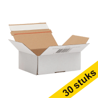123ink autolock shipping box, 160mm x 123mm x 55mm (3 x 10-pack) 301959