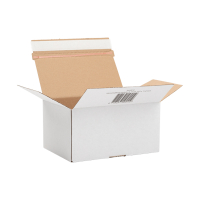 123ink autolock shipping box, 215mm x 152mm x 110mm (10-pack)  301874
