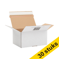 123ink autolock shipping box, 215mm x 152mm x 110mm (3 x 10-pack)