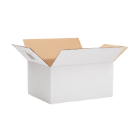 123ink autolock shipping box, 310mm x 220mm x 150mm (10-pack)  301875