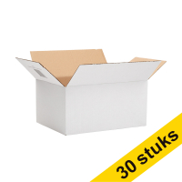123ink autolock shipping box, 310mm x 220mm x 150mm (3 x 10-pack)