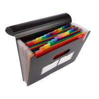 123ink black project folder (24 compartments)  301306