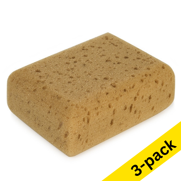 123ink chore sponge, 10.9cm x 14.2cm (3-pack)  SDR07323 - 1