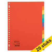 123ink coloured A4 cardboard tabs with 12 tabs (23 holes) (20 x 12-pack) 301335
