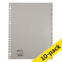 123ink grey A4 plastic tabs with 12 month indexes (23 holes) (10-pack)  301885