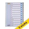 123ink grey A4 plastic tabs with 12 month indexes (23 holes) (5-pack)