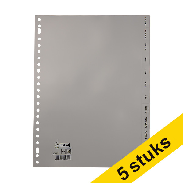 123ink grey A4 plastic tabs with 12 month indexes (23 holes) (5-pack) 301718 - 1