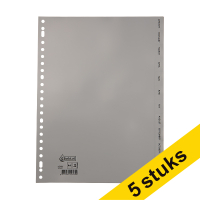 123ink grey A4 plastic tabs with 12 month indexes (23 holes) (5-pack)