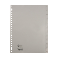 123ink grey A4 plastic tabs with 12 month indexes (23 holes)