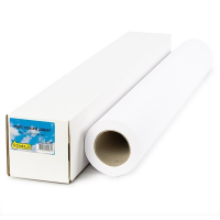 123ink standard paper roll, 610mm x 50m (80 g/m²) C13S045273C Q1396AC 155082