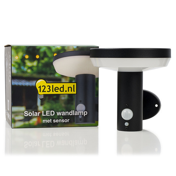 123inkt 123led Notting Hill solar wall lamp with sensor KH1960AWU-1 LDR08544 - 2
