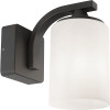 123inkt LED anthracite Abilene frosted glass wall lamp | Suitable for 1 x E27 | IP44  LDR06291 - 1