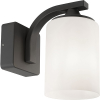 123inkt LED anthracite Abilene frosted glass wall lamp | Suitable for 1 x E27 | IP44  LDR06291