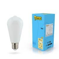 123led E27 LED dimmable filament matte Edison bulb 7W (60W) LDR02116