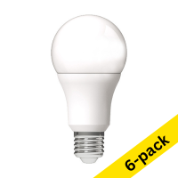 123led E27 LED matte pear bulb 13W (100W) (6-pack)