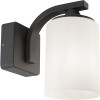 LED anthracite Abilene frosted glass wall lamp | Suitable for 1 x E27 | IP44 LDR06291 - 1