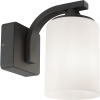 LED anthracite Abilene frosted glass wall lamp | Suitable for 1 x E27 | IP44 LDR06291