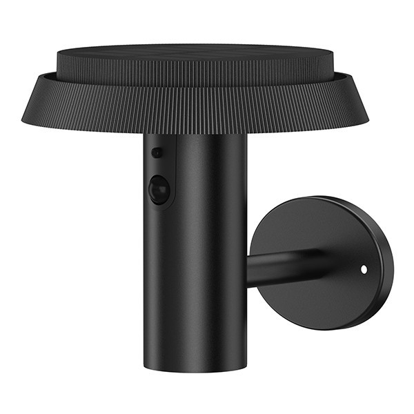 Solar wall lamp with motion & twilight sensor | Palermo | 1800-2700-3000K | IP44 | black LDR08734 - 1