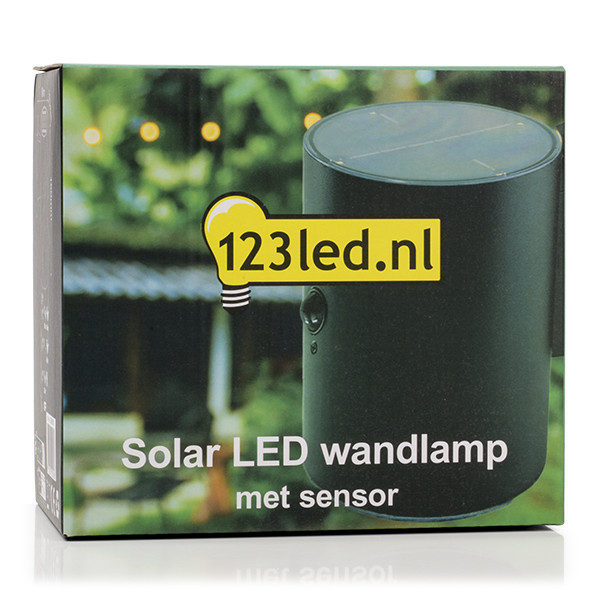 123led black Grantham up & down solar wall lamp with sensor LDR08531 - 6