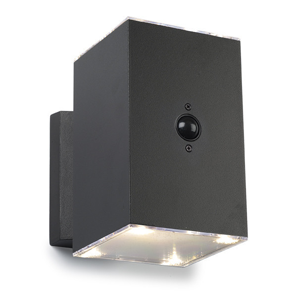 123led black Oxford up & down solar wall lamp with sensor LDR08533 - 2