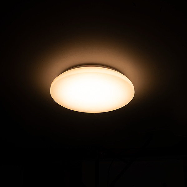 123led ceiling lamp, Ø 27cm (12W) | 3000K LDR02030 - 2