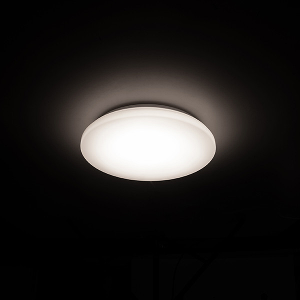 123led ceiling lamp, Ø 27cm (12W) | 4000K LDR02031 - 2