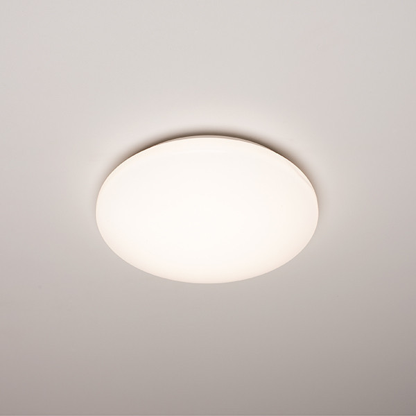 123led ceiling lamp, Ø 30cm (15W) | 4000K LDR02033 - 2
