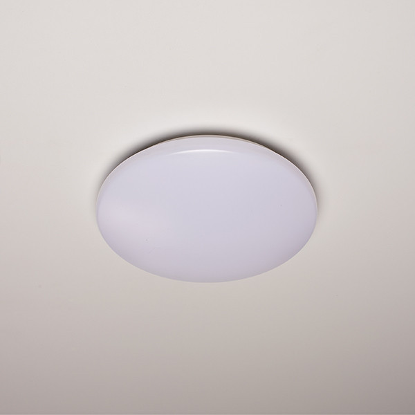 123led ceiling lamp, Ø 30cm (15W) | 4000K LDR02033 - 3