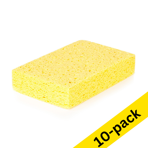 Viscose sponge, 14cm x 9cm x 3cm (10-pack) SDR06161 - 1