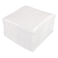2-layer white napkins (100-pack) 612650 402728