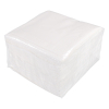 2-layer white napkins (100-pack)
