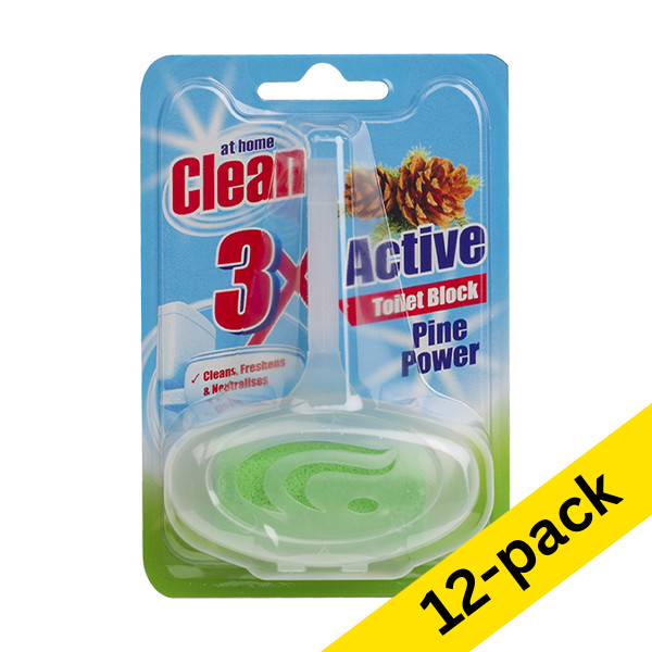 Toilet block 40g | At Home Clean Pine | 12-pack 404156 - 1