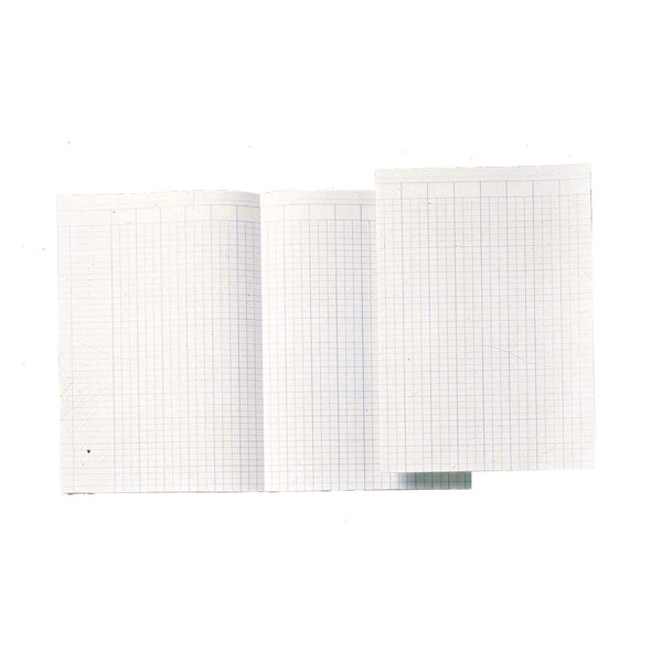 Atlanta accounting paper folio with 14 columns (100 sheets) 2360795000 203055 - 1