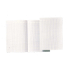 Atlanta accounting paper folio with 14 columns (100 sheets) 203055 - 1