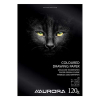 Drawing pad A4 (coloured, 120 grams) | Aurora | 20 sheets 330072 - 1