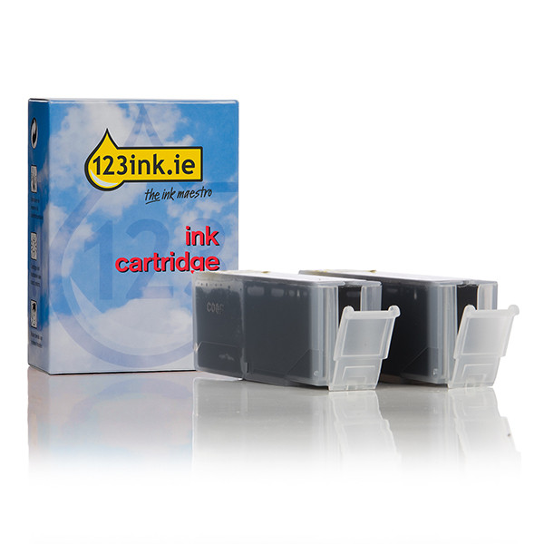 Canon PGI-550PGBK XL high capacity black ink cartridge (123ink version) 2-pack 132133 - 1