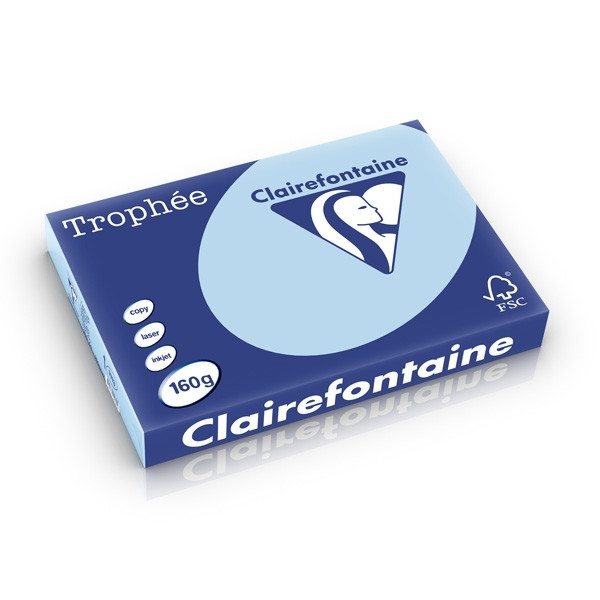 A3 160g paper (blue) | Clairefontaine | 250 sheets 250278 - 1