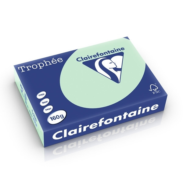 A4 160g paper (green) | Clairefontaine | 250 sheets 250252 - 1