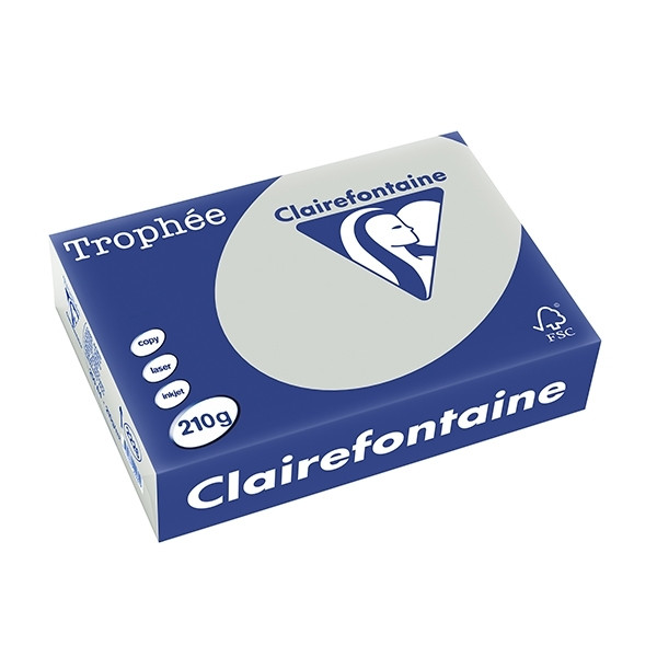 A4 210g paper (light grey) | Clairefontaine | 250 sheets 250088 - 1