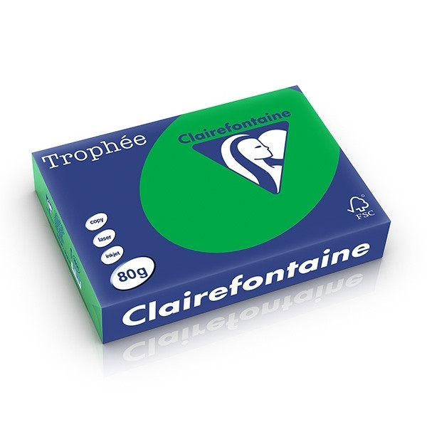 A4 80g paper (billiard green) | Clairefontaine | 500 sheets 250033 - 1