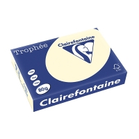 A4 80g paper (ivory) | Clairefontaine | 500 sheets