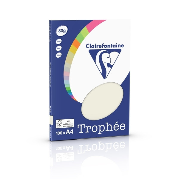 A4 80g paper (pearl grey) | Clairefontaine | 100 sheets 250034 - 1
